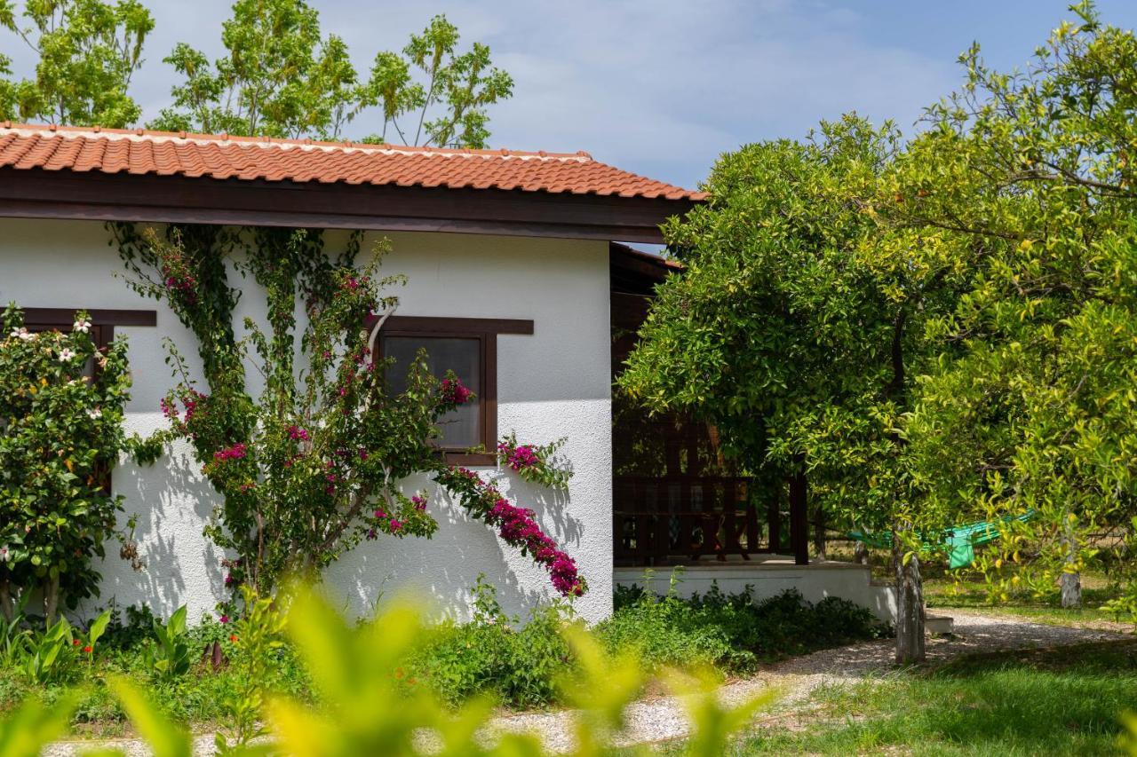 Kimera - Akdeniz Bahcesi Apart Hotel Çıralı Exterior foto